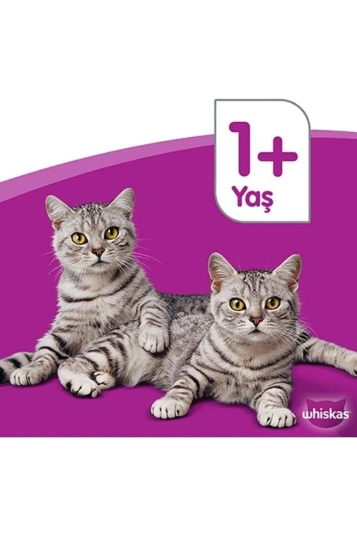 Whiskas Somonlu Ve Tavuklu Güveç Et Çeşitleri 4x85 gr (13 Paket,52 Ad Tekli )