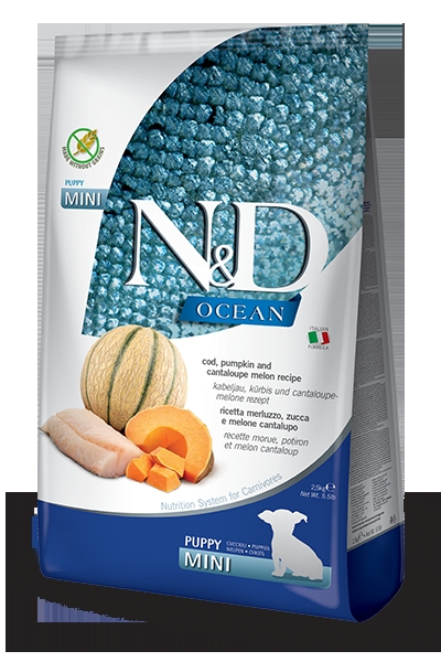 N&D Ocean Morina Balıklı Balkabaklı ve Kavunlu 2.5 kg Küçük Irk Yavru Köpek Maması