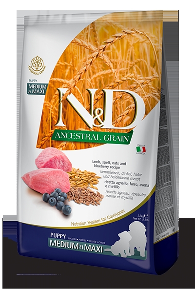 N&D Ocean Düşük Tahıllı Morina Balıklı ve Portakallı 2.5 kg Küçük Irk Yetişkin Köpek Maması